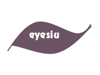 Read more about the article Eyesiu medicines B.V.